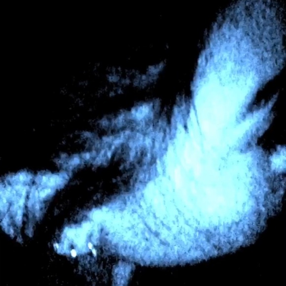 Meet your Posher, Jiselle - Picture 1 of 1